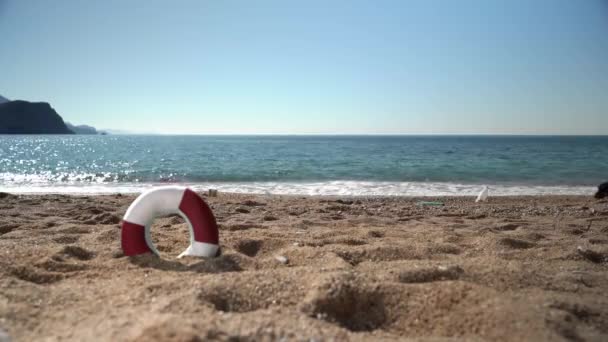 Chudák jezevčík se zamotal do odpadků, když šel podél mořského pobřeží. Znečištění životního prostředí a kritický globální problém nakládání s odpady — Stock video