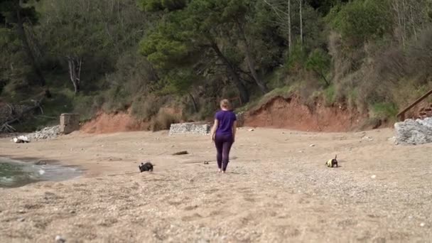 Giovane donna in lontananza passeggia lungo la spiaggia sabbiosa con due cani bassotto senza guinzagli, vista dal retro. Stile di vita attivo e viaggiare con gli animali domestici — Video Stock