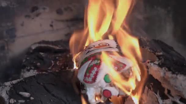 Stuffed toy in the form of snowman burns and turns into ashes in the fire, lying on blazing wood, close up. Plaything got into fireplace by accident or someone threw it there to destroy it — Stock Video