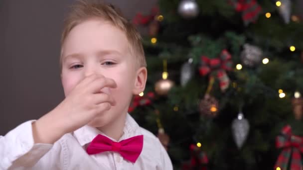 Boy with bow tie eats candy near decorated Christmas tree — Stock Video