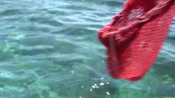 Trying to catch fish with red scoop-net in clear ocean water — Stock Video