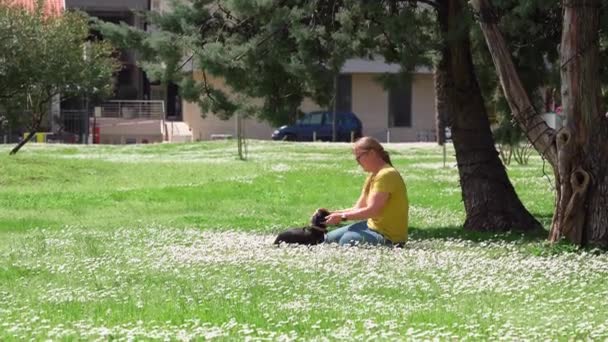 Pani bawi się przyjaznym jamnikiem siedzącym na kwitnącym polu — Wideo stockowe