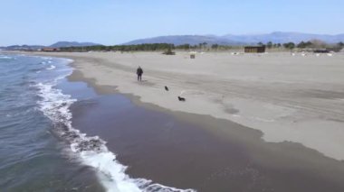 Young woman plays with small black dogs on sandy beach