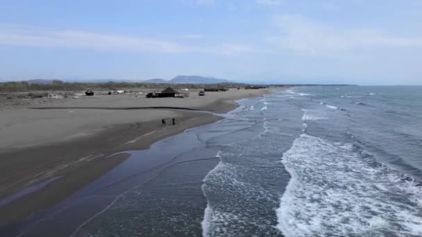 Drone with camera flies around people with dogs who are walking on deserted sandy beach washed by sea wave, panoramic view from height. Resort of Adriatic in the off-season — Vídeos de Stock