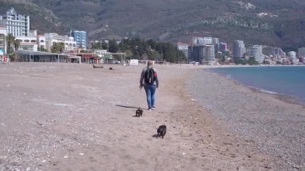 Donna felice con zaino e occhiali da sole passeggiate con cani da bassotto giocherellone lungo la spiaggia di sabbia contro alberghi resort nella giornata di sole — Video Stock