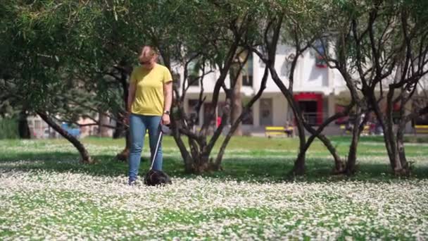 Jovem mulher em óculos de sol caminha com cão dachshund usando roleta de coleira e coleira, em belo gramado repleto de flores brancas da primavera entre árvores no parque da cidade no dia quente, vista frontal — Vídeo de Stock