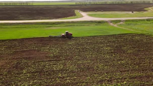 Harrows 'lu kırmızı traktör toprağı korumak için toprağı gevşetiyor, yüzeyini düzleştiriyor, yabani otları yok ediyor ve mevsimlik buğday ekimi, kırsal alan için hazırlanıyor, kameralı İHA etrafta uçuyor, kuş bakışı görüyor. — Stok video