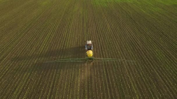 Tractor met beweegbaar sprinklersysteem en irrigatiemachine sproeit mest om de bodem te stimuleren, of het besproeien van groeiende tarwe op het veld, uitzicht van de rug, drone schieten — Stockvideo