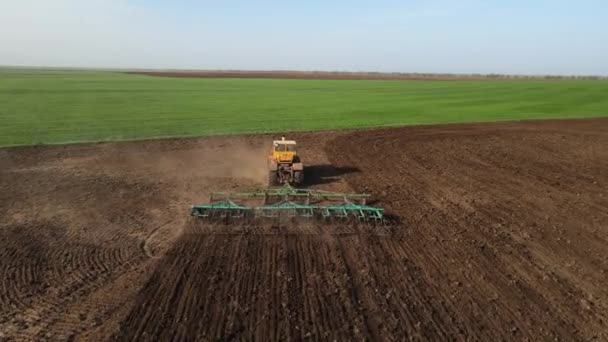 Drohne fliegt über Traktor mit Eggen, die Boden für das Pflanzen von Weizen lockert, Blick von hinten und fliegt in die Ferne über ein grünes Feld — Stockvideo