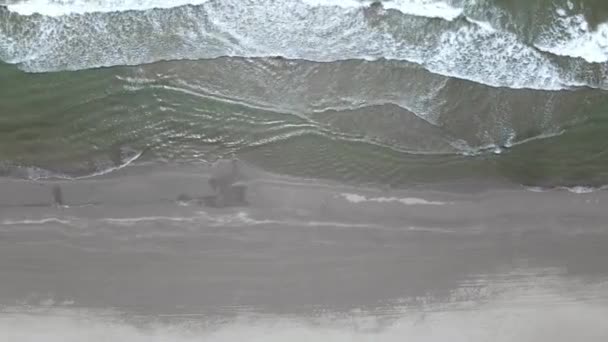 Nagy végtelen tenger hullámok sűrű fehér hab roll a strandon — Stock videók