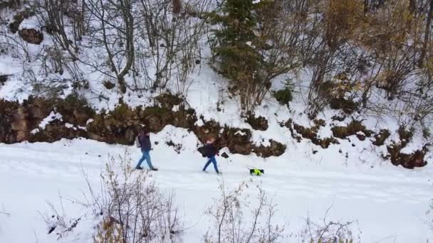 Mężczyzna i kobieta spacerują małym psem po zaśnieżonej leśnej ścieżce — Wideo stockowe