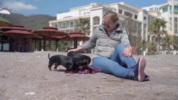 Wesoła pani z okularami przeciwsłonecznymi urocze śmieszne czarne jamniki psy siedzące na plaży piasek w pobliżu budynku hotelu na dzień wiosny — Wideo stockowe