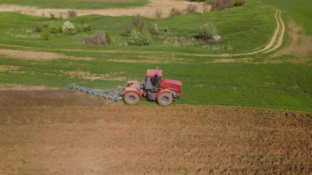 Rode trekker met eggen is het losmaken van de grond om de bodem te beschermen tegen uitdroging, vlak het oppervlak, onkruid te vernietigen en voor te bereiden op seizoensgebonden planten tarwe, schieten met drone van hoogte, zijaanzicht — Stockvideo