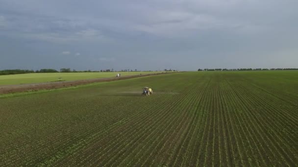 Trattore con azionamenti spruzzatore lungo il campo e spruzzi — Video Stock