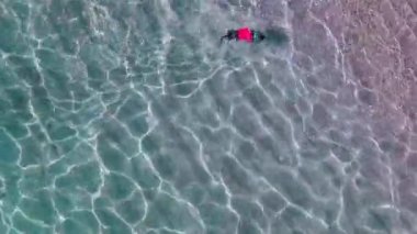 Yüzme gözlüklü komik bir köpek, temiz suda kıyıya doğru yüzüyor, üst görüş, insansız hava aracı ateşi. Evcil hayvan tişörtünü yolda kaybeder, o da dalgalarla sürüklenir.