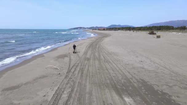 Спортивная спортсменка бегает по песчаному пляжу с щенками — стоковое видео