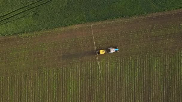 Grote trekker rijdt langs breed veld EN strooit kleine spruiten met speciale meststoffen onder fel lentezonlicht bovenaanzicht. — Stockvideo