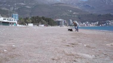 Ceketli, güneş gözlüklü, iki komik dachshund köpeği olan aktif sarışın bir kadın. Sahibi olan evcil hayvanlar çalıştırın ve yeni komutlar öğrenin, çubuk taşıyın