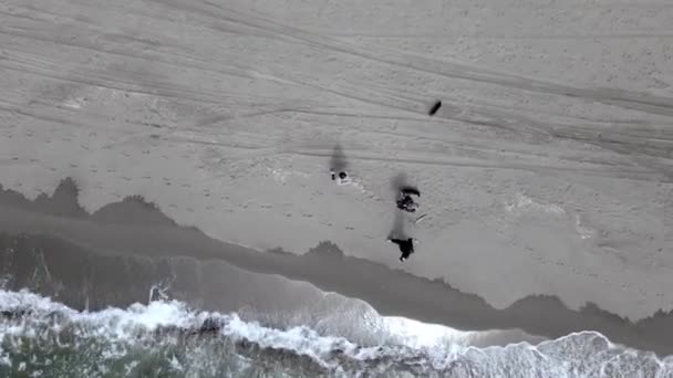 Ludzie spacerują wzdłuż wybrzeża z jamnikami w sezonie poza sezonem w ośrodku, widok z góry, strzelanie dronami. Ślady stóp, ślady kół rowerowych i samochodowych na piasku. Aktywny tryb życia — Wideo stockowe