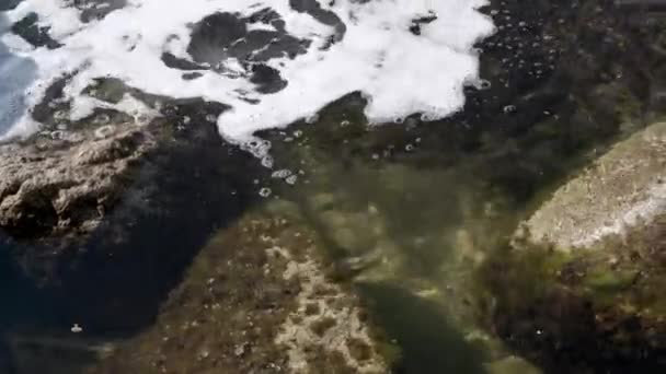 Espuma suave sobre agua clara que corre entre grandes piedras — Vídeo de stock