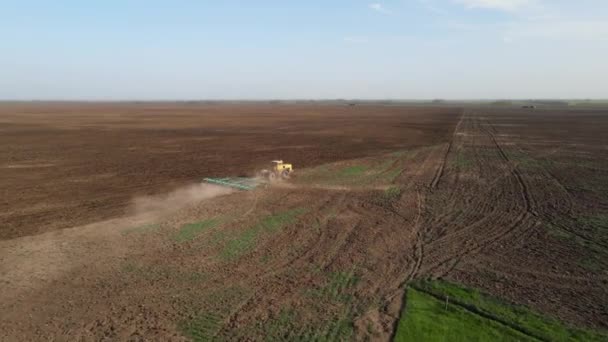 Drone com câmera voa sobre um campo onde trator amarelo com grades está dirigindo e soltando o solo, preparando-o para o plantio de trigo, vista panorâmica. Conceito agrícola — Vídeo de Stock