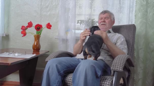 Ősz hajú idős férfi háziállat kiskutya fekete-barna szőrme — Stock videók