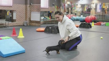 Genç bir kadın köpek spor salonunda köpek maması veriyor.