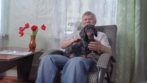 Homme retraité âgé avec moustache grise est assis dans une chaise berçante confortable et caressant chiot teckel mignon sur ses genoux dans la maison de retraite. Les animaux domestiques aident les retraités à supporter la solitude — Video