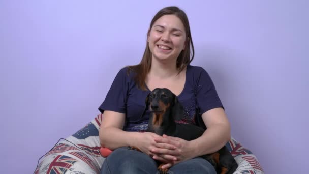 Attractive young woman sits in overstuffed pear chair and laughs, cute dachshund dog lying on her lap, front view. Home party with cheerful company. Comical entertaining vlog. — Stock Video