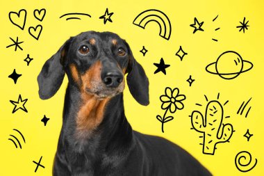 Bir dachshund neşeli kozmik karalamalarla çevrilidir. Yıldızlar, kalpler ve gezegenler parlak sarı bir zemin üzerindedir. Tuhaf ve neşeli bir sahne yaratır..