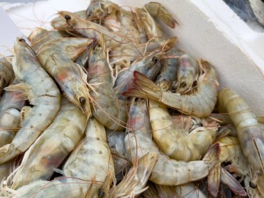 Taze çiğ karides yığını beyaz kabın içinde deniz ürünleri pazarında sergileniyor..