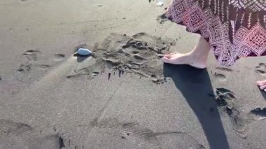 Genç bir kadının ayaklarının yakın çekimi, kumsalda yürüyen bacakları toz bezi bir elbise giyiyor. Ofiste yorucu bir günün ardından bir kadın kısa bir aradan zevk alır..