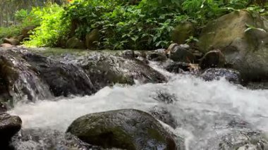 Kayaların arasından akan akarsu. Akan suyla nehir taşlarına yaklaş.
