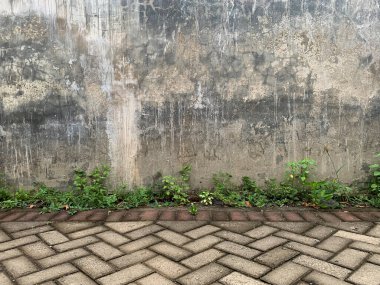 Yeşil çimenli ve asfalt yollu elementlerin aşındırdığı pürüzlü duvarlar.