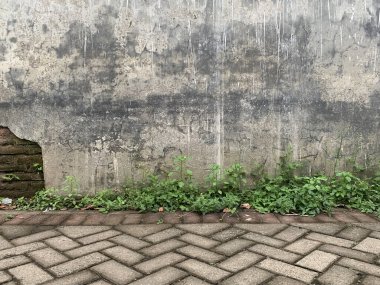 Yeşil çimenli ve asfalt yollu elementlerin aşındırdığı pürüzlü duvarlar.