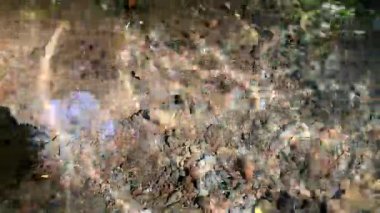 Yansıtıcı berrak su ve güneş ışığının altında kayalar.