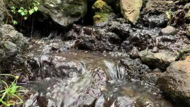Su Erozyonu Konsepti. Taze Dağ Akıntısı Tortu Kayalarının üzerinden akıyor, Taş Duvarda Bitkiler ve Yosun Detayları