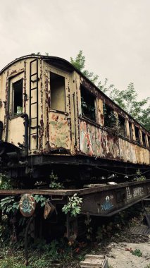 Açık hava müzesinde antika bir araba..