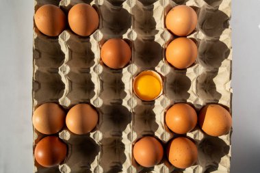 Paketteki tavuk için yumurta ve karton paket.