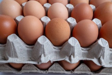 Paketteki tavuk için yumurta ve karton paket.