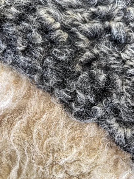 Tonlanmış Kıvırcık Koyun Derisi ya da Kuzu Derisi Kürkü 'nün yakın çekimi  