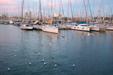 Limanda demirlemiş yat ve marina manzarası çok güzel.