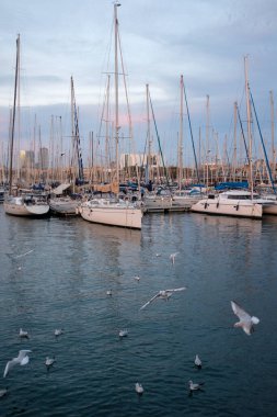 Limanda demirlemiş yat ve marina manzarası çok güzel.