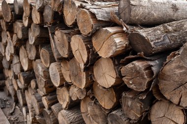 Odun yığınına düzgünce dizilmiş kütükler.