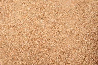 Açık kahverengi kum taneleri yüzeyi kaplıyor.