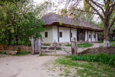 Ağaçlar ve yeşil çimlerle çevrili geleneksel bir ev.