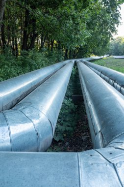 Ağaçların yakınındaki yeşil bitki örtüsünden geçen metal borular.