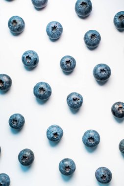 Beyaz arkaplanda düzgünce dizilmiş yaban mersinleri