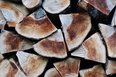 Kesik kütükler düzgünce istiflenmiş, ahşap tahıl ve halkaları gösteriyor