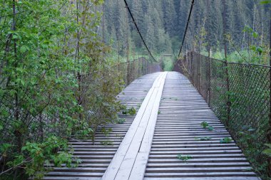 Asma köprü doğada ağaçlar ve yeşilliklerle çevrili.